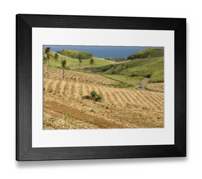 Framed Print : Africa, Mauritius