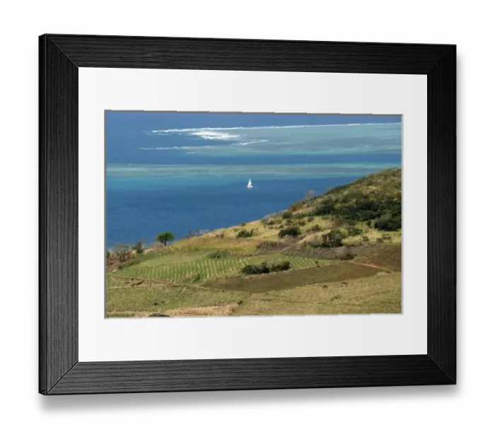 Framed Print : Mauritius. Sugar cane fields and ocean vistas are typical Mauritius scenes Framed Print : Mauritius. Sugar cane fields and ocean vistas are typical Mauritius scenes