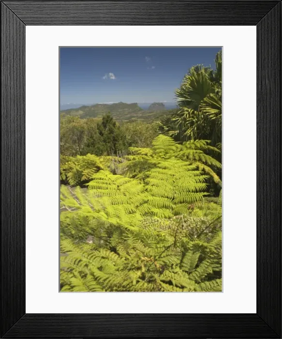 Framed Print : Mauritius, Chamarel. View from Varangue sur Morne restaurant Framed Print : Mauritius, Chamarel. View from Varangue sur Morne restaurant