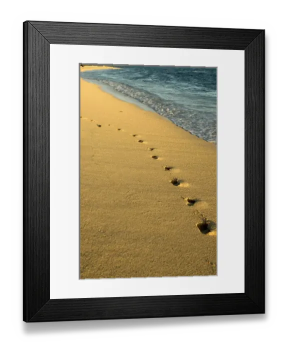 Framed Print : Africa, Mauritius Framed Print : Africa, Mauritius