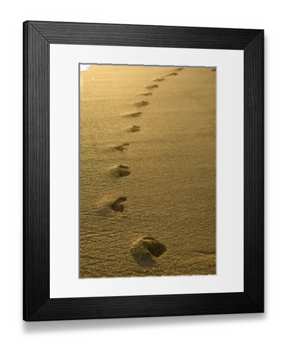 Framed Print : Africa, Mauritius Framed Print : Africa, Mauritius