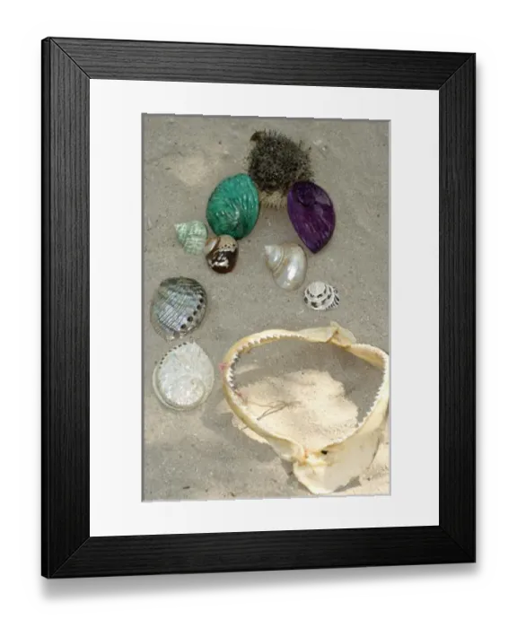 Framed Print : Africa, Mauritius Framed Print : Africa, Mauritius