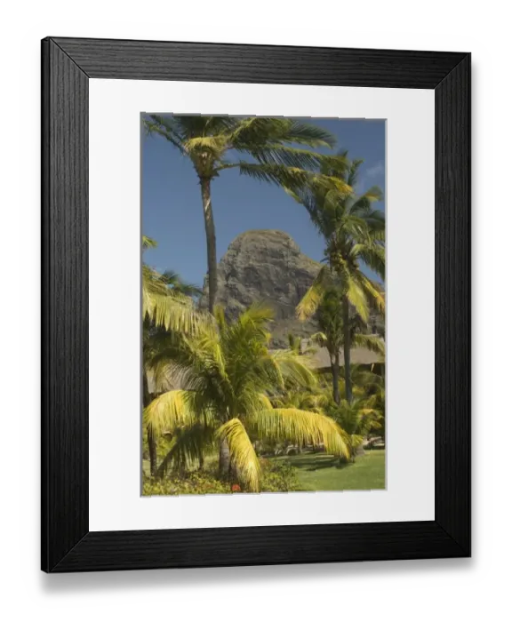 Framed Print : Mauritius, Le Morne. Paradis Hotel and Golf Club, an International class golf course Framed Print : Mauritius, Le Morne. Paradis Hotel and Golf Club, an International class golf course