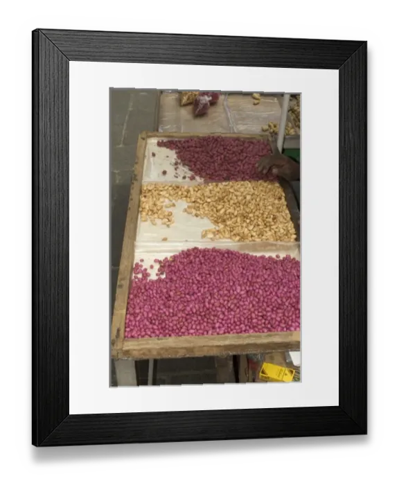 Framed Print : Mauritius, Port Louis. Central Market is where visitors and locals alike can shop Framed Print : Mauritius, Port Louis. Central Market is where visitors and locals alike can shop