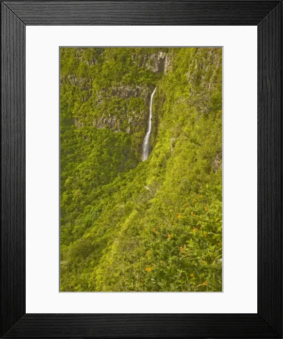 Framed Print : Africa, Mauritius Framed Print : Africa, Mauritius