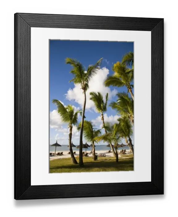 Framed Print : Idyllic Beach and Palm Trees near Le Prince Maurice Resort, Southeastern Mauritius Framed Print : Idyllic Beach and Palm Trees near Le Prince Maurice Resort, Southeastern Mauritius