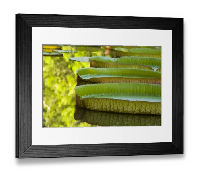 Framed Print : Africa, Mauritius