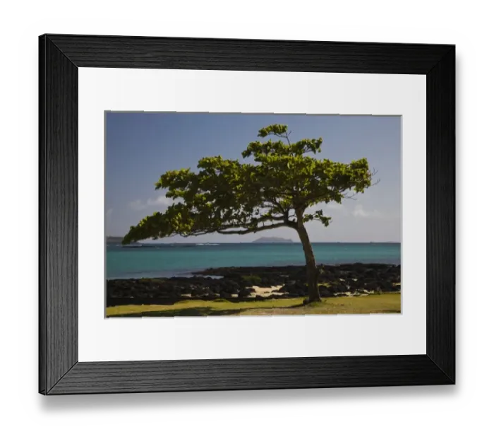 Framed Print : Mauritius, North Mauritius, Cap Maleureux, Anse La Raie Bay
