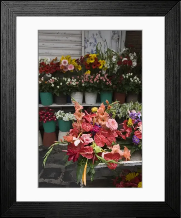 Framed Print : Mauritius, Port Louis, Flower Market, Flamingo Flowers, anthurium andraeanum