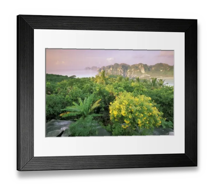 Framed Print : Asia, Thailand, Ko Phi Phi Island Framed Print : Asia, Thailand, Ko Phi Phi Island