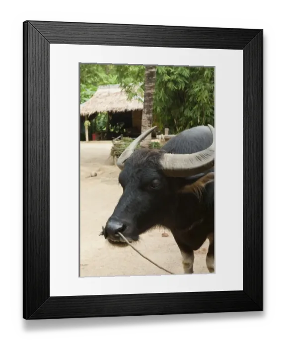 Framed Print : Asia, Thailand