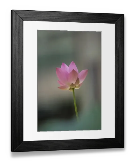 Framed Print : Asia, Thailand Framed Print : Asia, Thailand