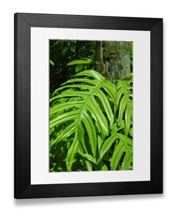 Framed Print : Thailand, Andaman Sea. Ko Miang Island Similan Islands Andaman Sea Thailand Framed Print : Thailand, Andaman Sea. Ko Miang Island Similan Islands Andaman Sea Thailand
