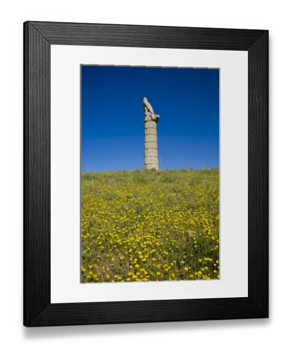 Framed Print : Karakus Tumulus of Commagene Royal family, Kahta, Adiyaman, Turkey Framed Print : Karakus Tumulus of Commagene Royal family, Kahta, Adiyaman, Turkey