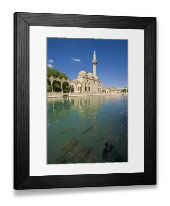 Framed Print : Halil-ur Rahman (Friend of God) Mosque and the Pool of Abraham (Ibrahim) with the holy carp inside Framed Print : Halil-ur Rahman (Friend of God) Mosque and the Pool of Abraham (Ibrahim) with the holy carp inside