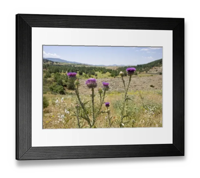 Framed Print : Asia, Turkey Framed Print : Asia, Turkey
