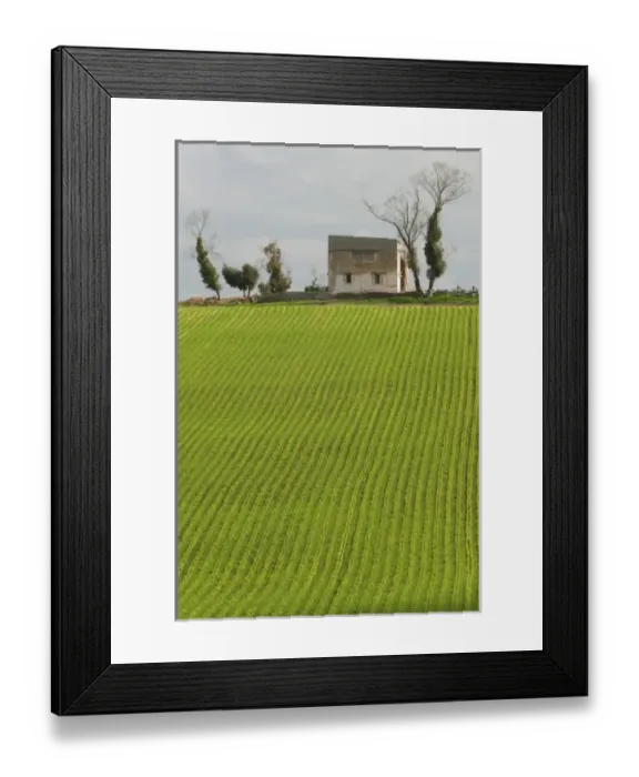 Framed Print : MOROCCO, Region Kandar et Sebou: Spring Countryside by town of EL MENZEL