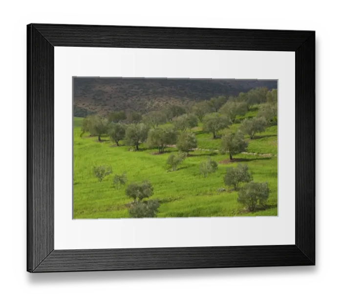 Framed Print : MOROCCO, Region Kandar et Sebou: Spring Countryside by town of EL MENZEL Framed Print : MOROCCO, Region Kandar et Sebou: Spring Countryside by town of EL MENZEL
