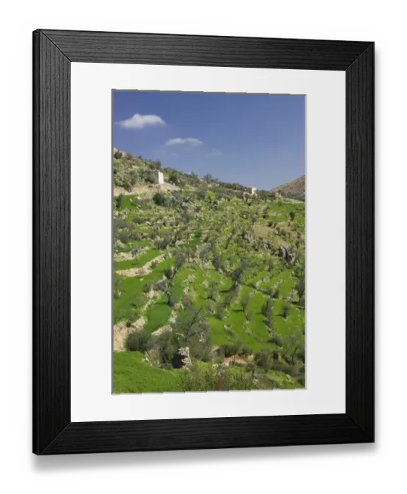 Framed Print : MOROCCO, Region Kandar et Sebou: Spring Valley View by town of TARHIT