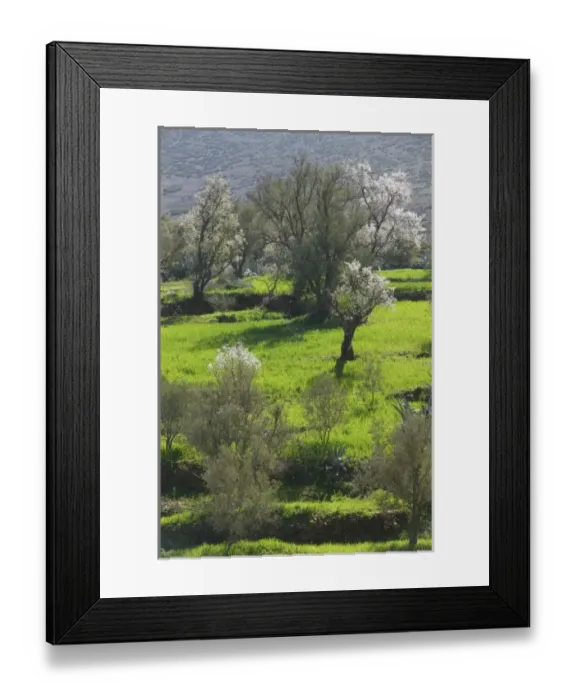 Framed Print : Africa, Morocco Framed Print : Africa, Morocco