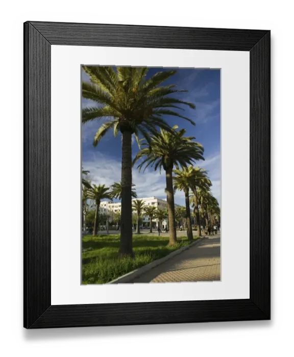 Framed Print : MOROCCO, Fes: Fes Ville Nouvelle (New Fes), Place Florence along Avenue Hassan II Framed Print : MOROCCO, Fes: Fes Ville Nouvelle (New Fes), Place Florence along Avenue Hassan II