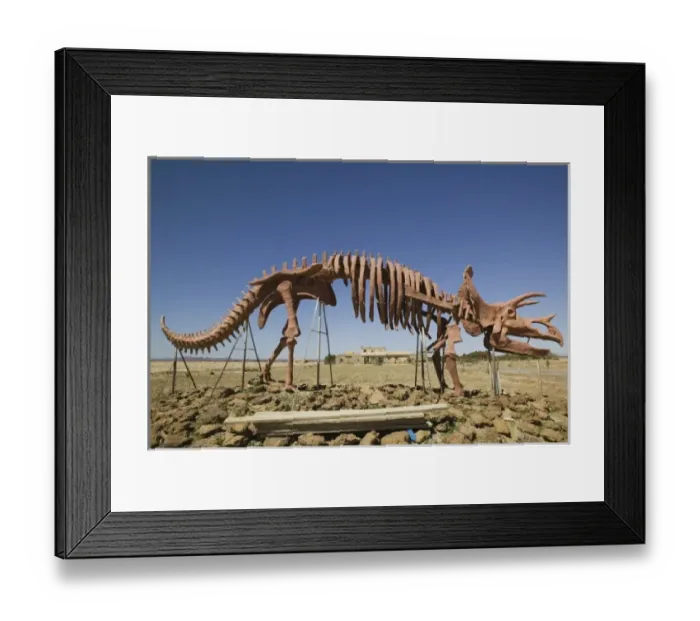 Framed Print : MOROCCO, Ziz Valley, ERFOUD: Dinousaur Museum / Skeleton Framed Print : MOROCCO, Ziz Valley, ERFOUD: Dinousaur Museum / Skeleton
