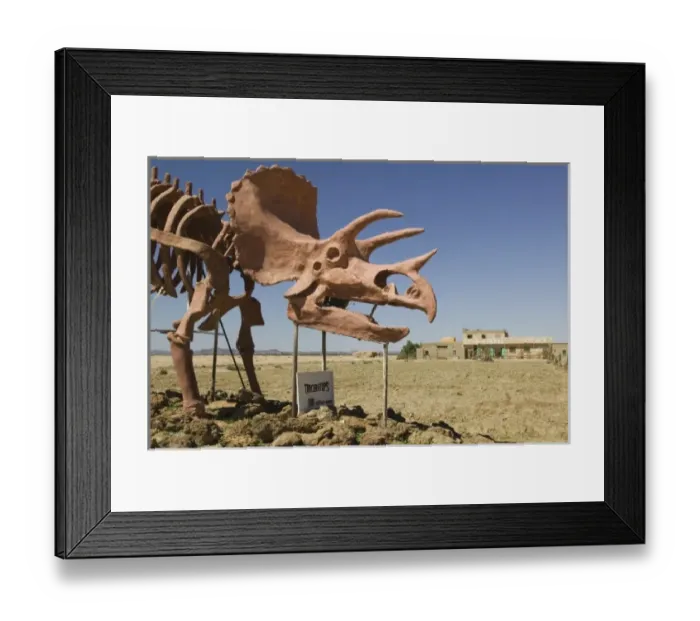 Framed Print : MOROCCO, Ziz Valley, ERFOUD: Dinousaur Museum  /  Skeleton