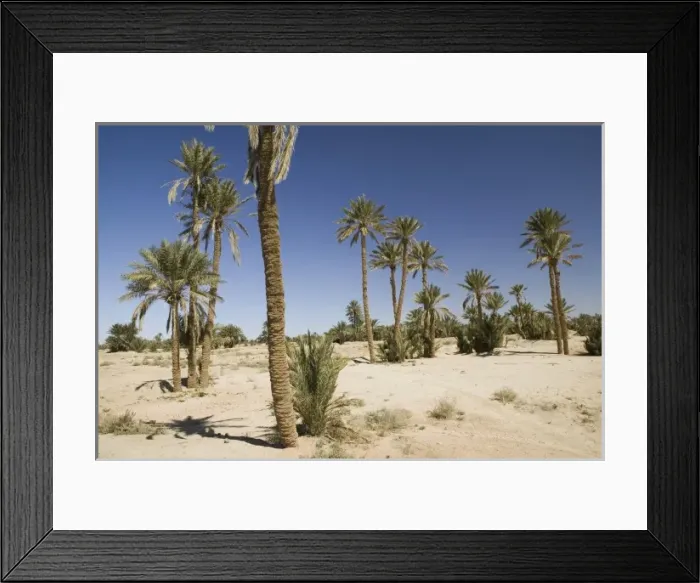 Framed Print : MOROCCO, Tafilalt, RISSANI: Palm Oasis on the Circuit Touristique by Ksar Tinheras Framed Print : MOROCCO, Tafilalt, RISSANI: Palm Oasis on the Circuit Touristique by Ksar Tinheras
