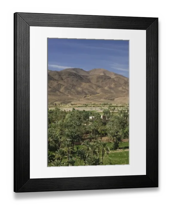 Framed Print : MOROCCO, Draa Valley, AGDZ: Draa River Valley Palm Grove