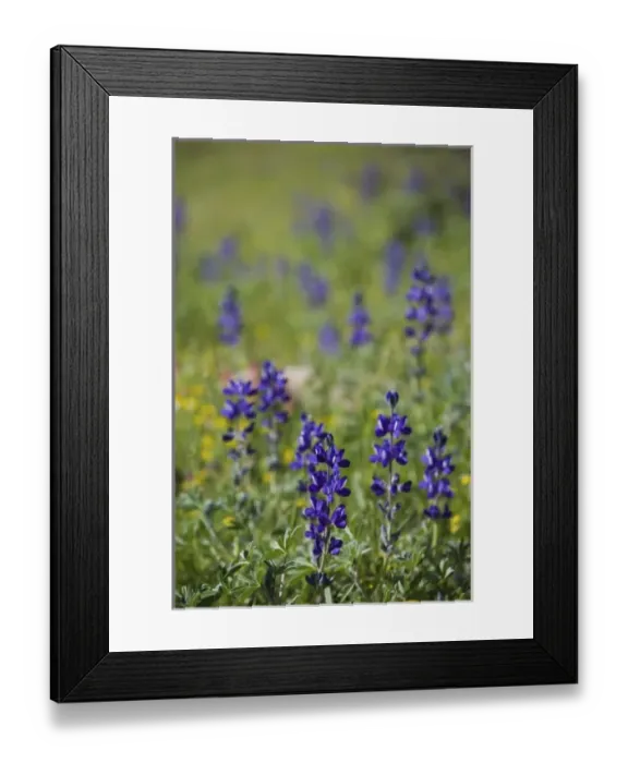 Framed Print : Africa, Morocco Framed Print : Africa, Morocco