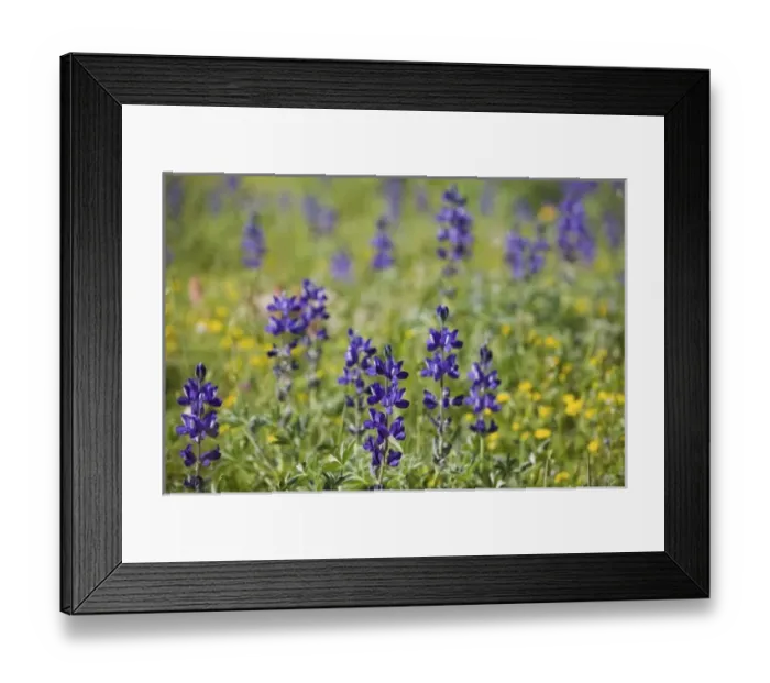 Framed Print : Africa, Morocco