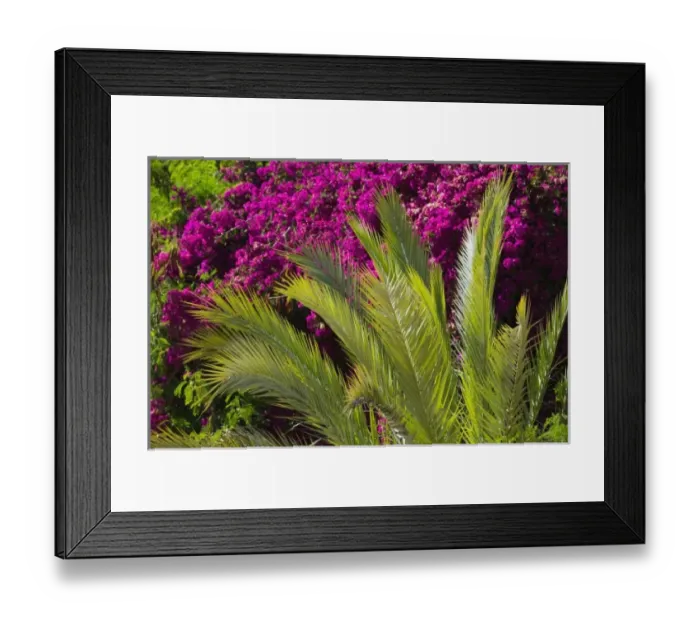 Framed Print : Africa, Morocco