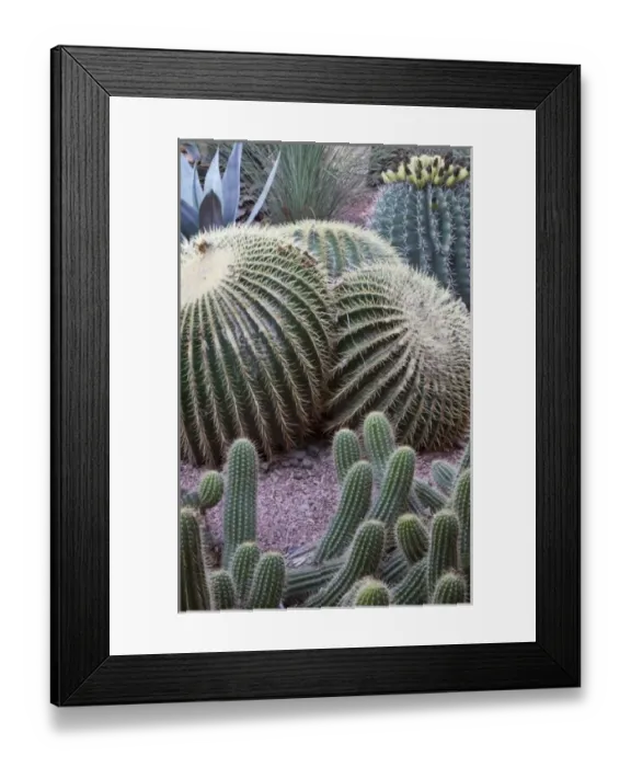 Framed Print : Africa, Morocco Framed Print : Africa, Morocco