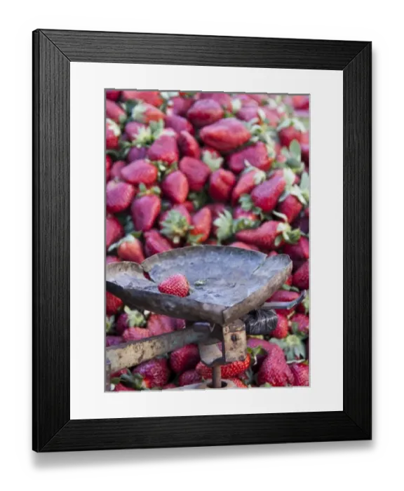 Framed Print : Strawberries for sale in Fes medina, Morocco Framed Print : Strawberries for sale in Fes medina, Morocco