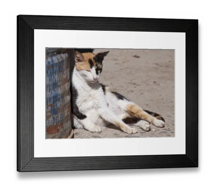 Framed Print : Africa, Morocco Framed Print : Africa, Morocco