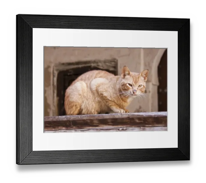 Framed Print : Africa, Morocco Framed Print : Africa, Morocco