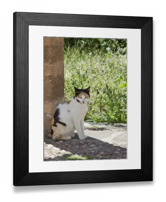 Framed Print : Africa, Morocco