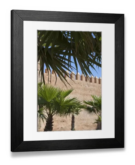 Framed Print : Palm trees and medina wall, Rabat, Morocco Framed Print : Palm trees and medina wall, Rabat, Morocco