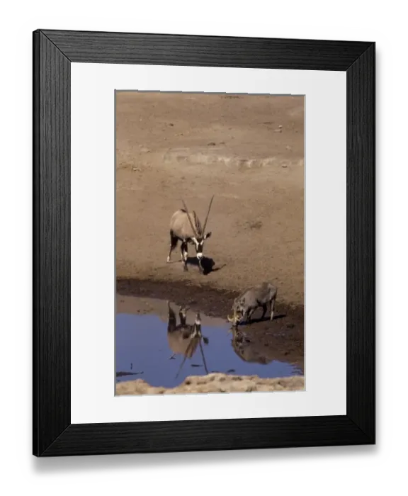 Framed Print : Africa, Namibia Framed Print : Africa, Namibia