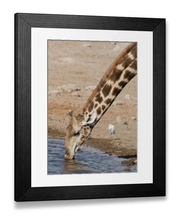 Framed Print : Africa, Namibia Framed Print : Africa, Namibia