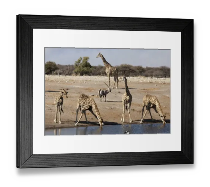 Framed Print : Africa, Namibia Framed Print : Africa, Namibia