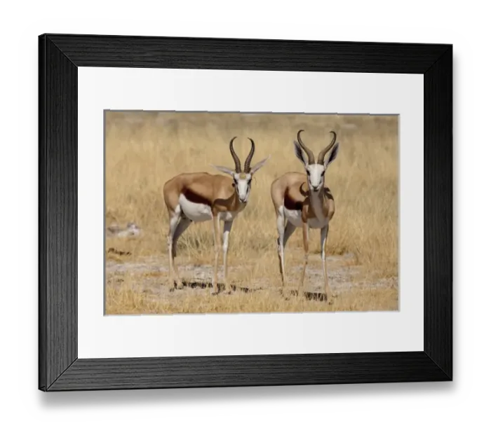 Framed Print : Africa, Namibia Framed Print : Africa, Namibia