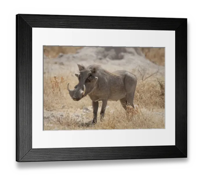Framed Print : Africa, Namibia