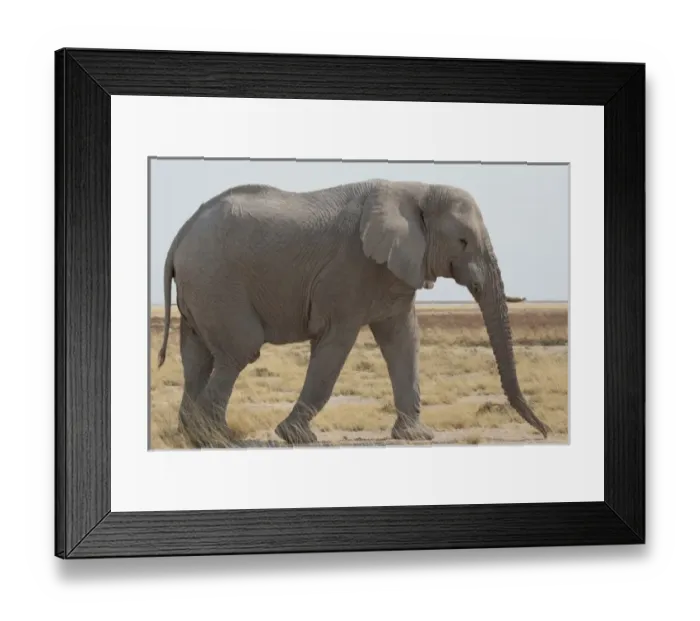 Framed Print : Africa, Namibia Framed Print : Africa, Namibia