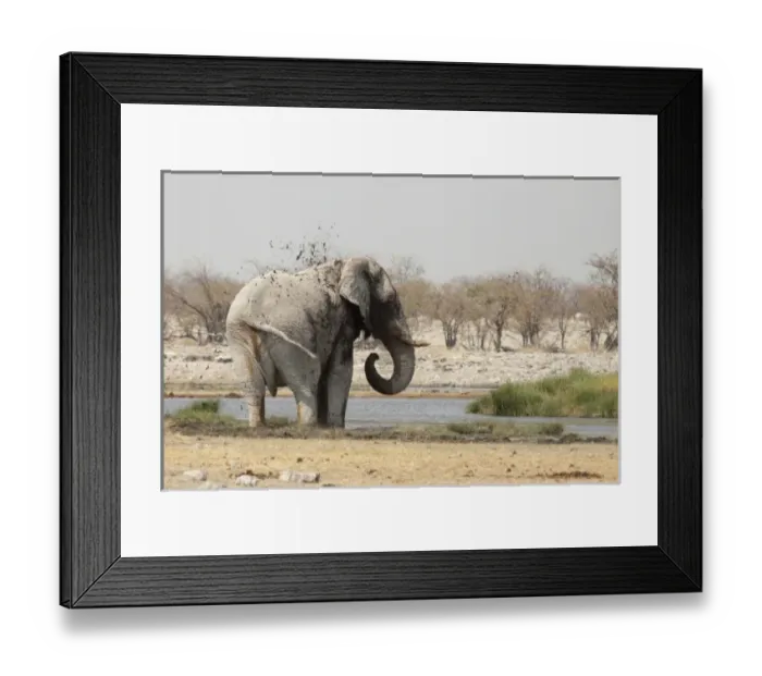Framed Print : Africa, Namibia Framed Print : Africa, Namibia