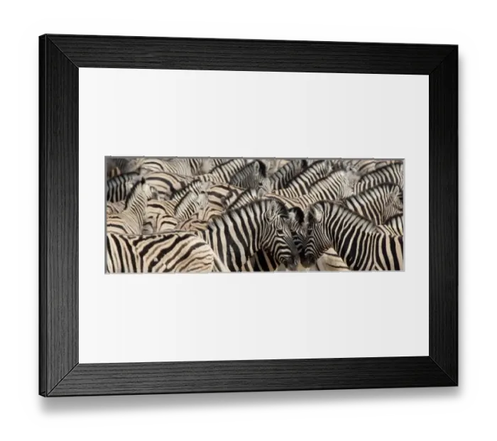 Framed Print : Africa, Namibia Framed Print : Africa, Namibia