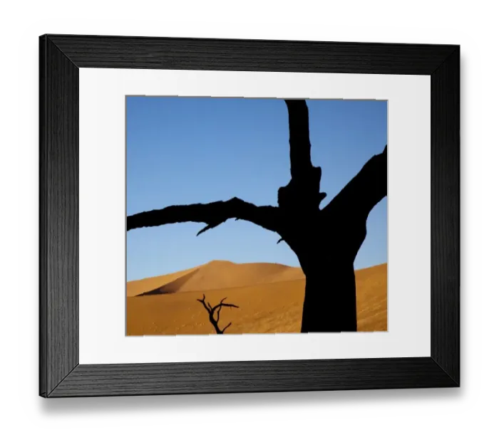 Framed Print : Namibia, Namib-Naukluft Park, Sossusvlei. Dead trees contrast with sand dunes at Dead Vlei Framed Print : Namibia, Namib-Naukluft Park, Sossusvlei. Dead trees contrast with sand dunes at Dead Vlei