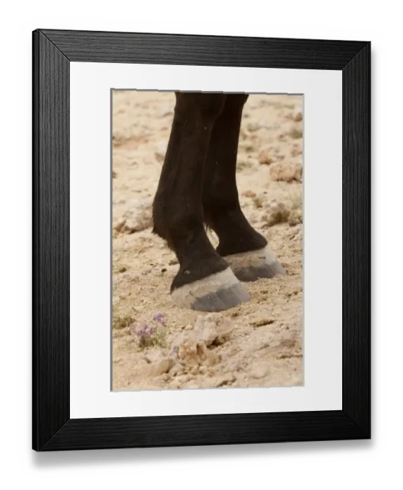 Framed Print : Africa, Namibia Framed Print : Africa, Namibia