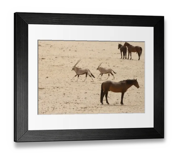 Framed Print : Africa, Namibia