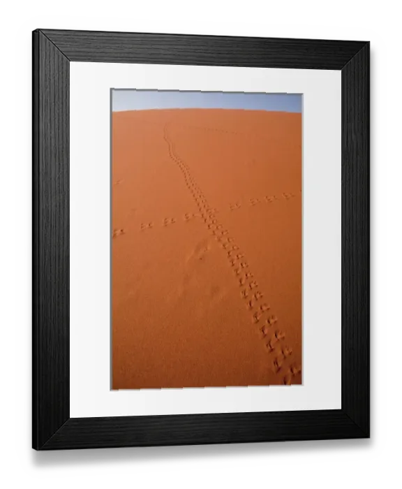 Framed Print : Namibia, Namib-Naukluft Park, Sossusvlei. Animal tracks on a sand dune in Namib Desert Framed Print : Namibia, Namib-Naukluft Park, Sossusvlei. Animal tracks on a sand dune in Namib Desert